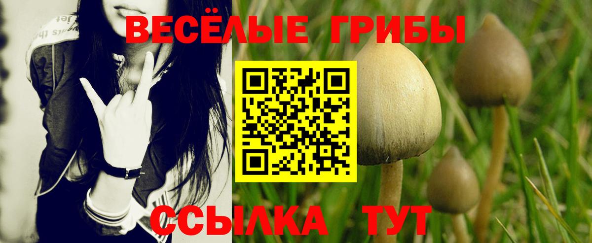 Галлюциногенные грибы Cubensis Павлово