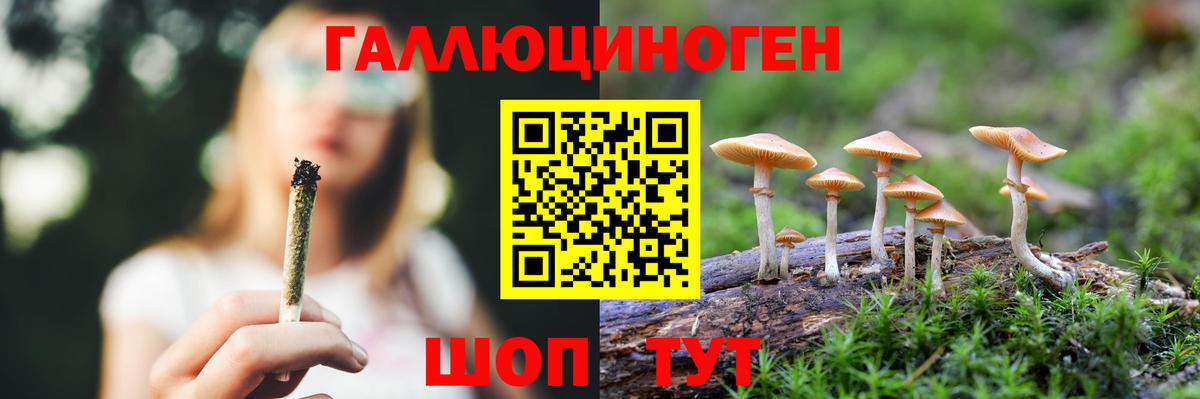 цены наркотик  Псилоцибиновые грибы ЛСД  Павлово  Вход с VPN  Псилоцибиновые грибы Psilocybe 